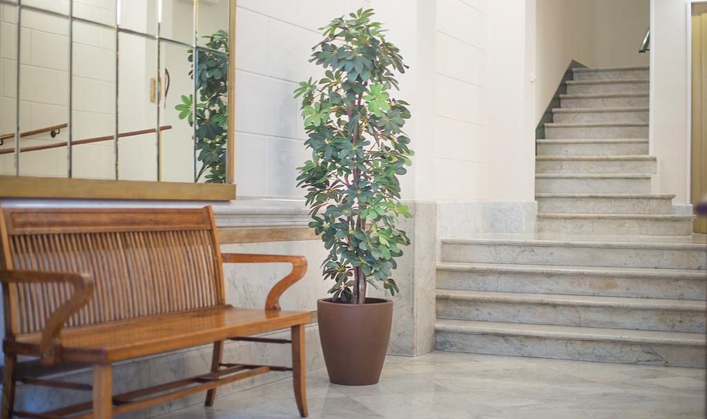Anakena House Bed & Breakfast Βαρκελώνη Εξωτερικό φωτογραφία